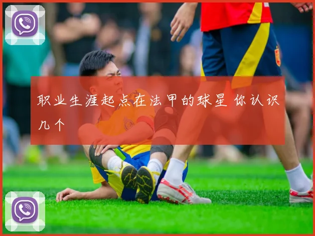 职业生涯起点在法甲的球星 你认识几个